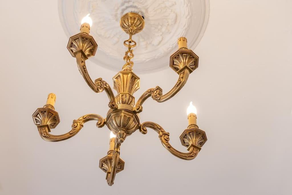 Apartmán Magnolia Magnifique T2 Entierement Renove. Montauban Exteriér fotografie