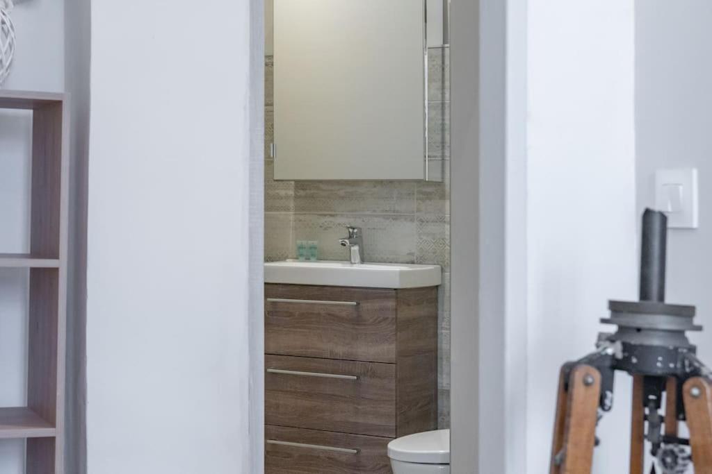 Apartmán Magnolia Magnifique T2 Entierement Renove. Montauban Exteriér fotografie